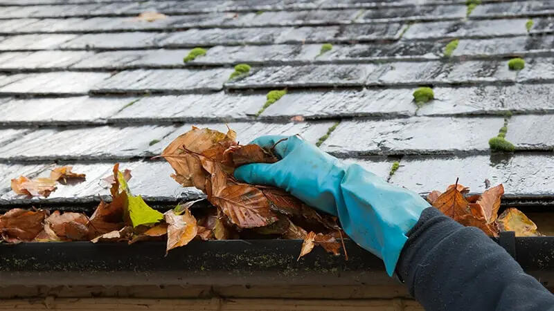 Gutter Cleaning in Selden